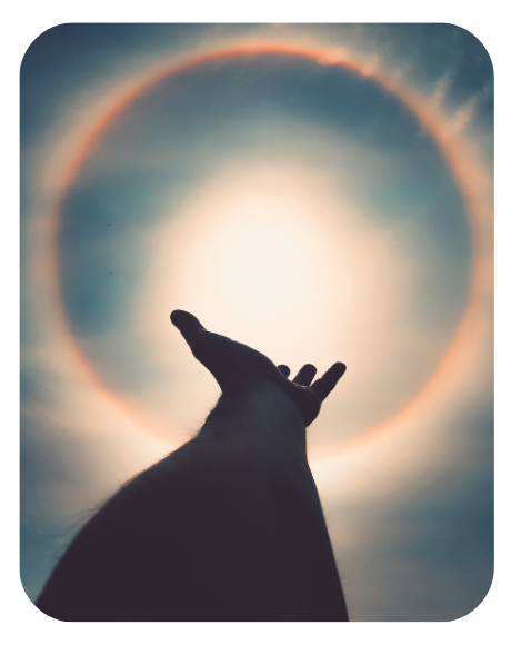 Terapia de Respuesta Espiritual (T.R.E)